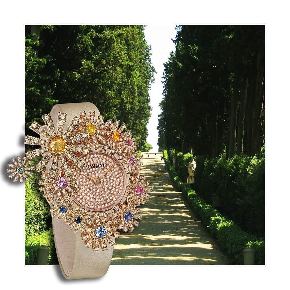 のインスタグラム：「A precious bouquet among precious flowes! The perfect encounter between rose gold, rainbow coloured sapphires and brown diamonds gives life to a refined #DamianiMargherita secret watch …a hidden mechanism revealing the precious dial in all its splendour.  #Damaini #DamianiMasterpieces #DamianiLovesItaly」