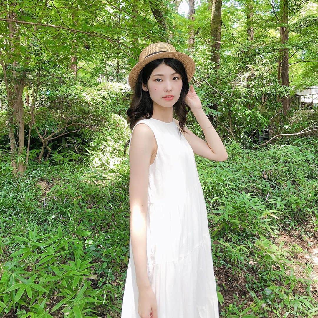 i_am_happpyのインスタグラム：「. . 森の中に迷い込みました。 .」