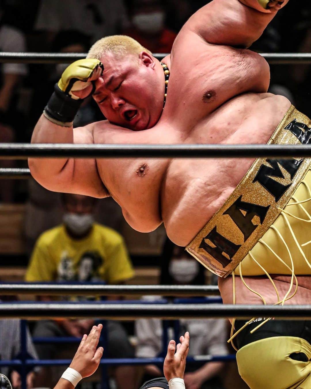 浜亮太さんのインスタグラム写真 - (浜亮太Instagram)「大日本プロレス千葉市川大会に御来場いただき有り難うございました！ 帰りには久しぶりの【はま寿司】ウマ杉晋作でした！（笑）#bjw #浜亮太 #千葉県市川市 #はま寿司 #ウマ杉晋作」8月15日 21時41分 - hama.2964