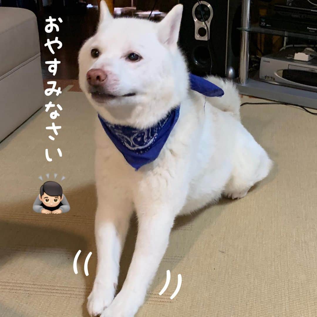 Jacknomamaのインスタグラム