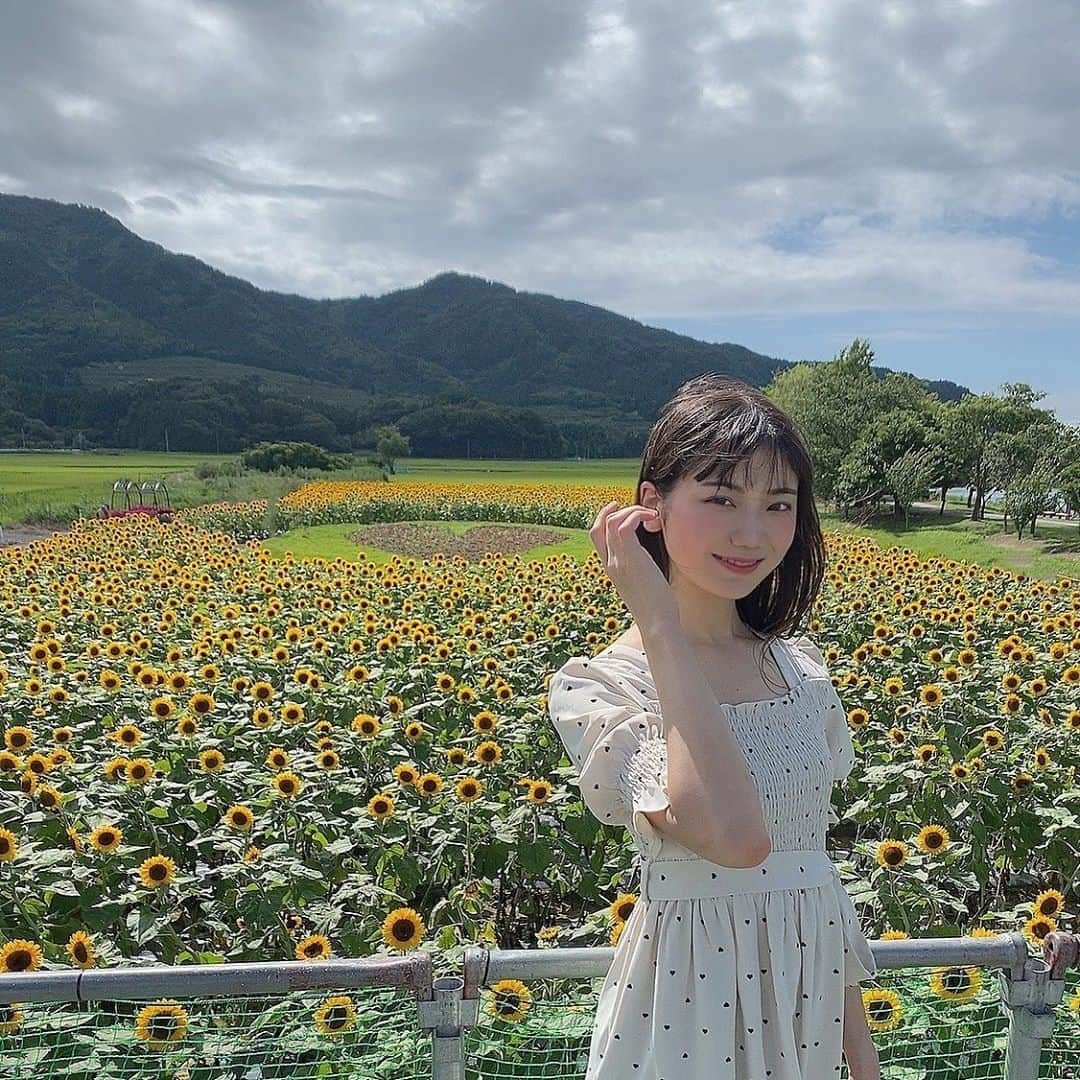 藤崎未夢さんのインスタグラム写真 - (藤崎未夢Instagram)「♡ 🌻🌻🌻 . . 風で髪の毛がぼさぼさ😖🌪 . #ひまわり畑 #向日葵 #新潟 #新潟市 #上堰潟公園 #上堰潟公園ひまわり畑 #未夢ちゃんとデート」8月15日 22時25分 - miyu_miyu_ngt48