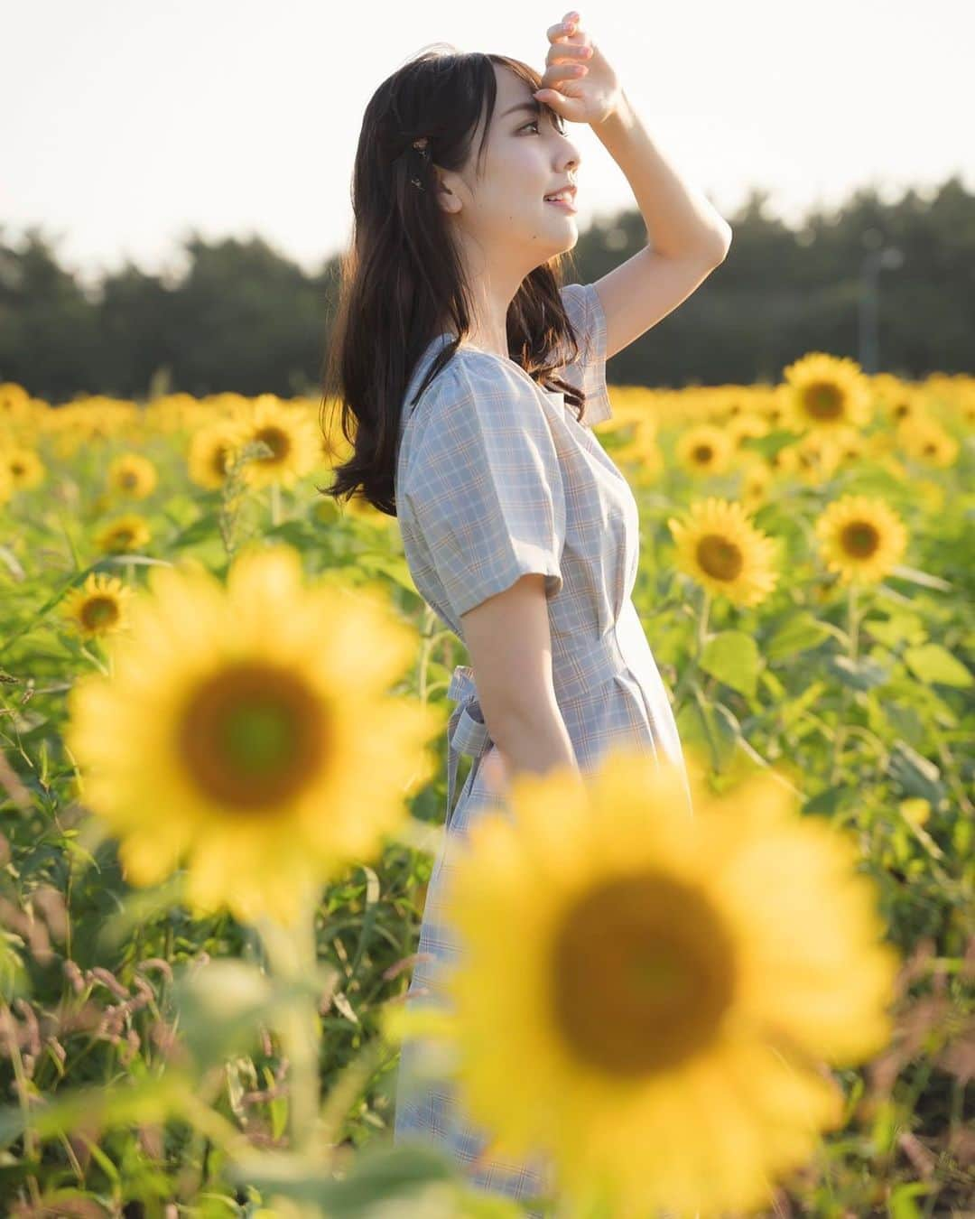 相場詩織さんのインスタグラム写真 - (相場詩織Instagram)「【由利本荘市西目 ひまわり畑🌻】﻿ ﻿ "夏の思い出はいつだって儚い"﻿ ﻿ 蝉が鳴く声、コロコロと表情を変える空﻿ 夏はウキウキするものが沢山あって﻿ 胸が高鳴る一方、﻿ 終わりが見えそうでちょっと切なくなります😌﻿ ﻿ 太陽に向かってまっすぐ伸びるひまわりと﻿ 絶妙な色合いの夕陽がとても綺麗でした✨﻿ ﻿ カメラマンさん  @atsushi_ogawa87  ヘアメイクさん @myano_hm  衣装 @mimipecher.official  ﻿ ﻿ #SonyAlpha #sony #sonyworldclub #instalike﻿ #portrait #photography #撮影 #花畑 #ひまわり畑﻿ #instagramjapan #ひまわり #ポートレート #横顔 #秋田 ﻿ #instagood #photooftheday #ポートレートモデル﻿ #写真好きな人と繋がりたい #ヘアメイク #メイク #被写体 #ファインダー越しの私の世界 #アナウンサー衣装﻿ #ミミペシェ #ガーリーファッション #ナチュラルメイク #東北 #あきたびじょん #秋田を旅しよう」8月15日 22時31分 - shioriaiba0801