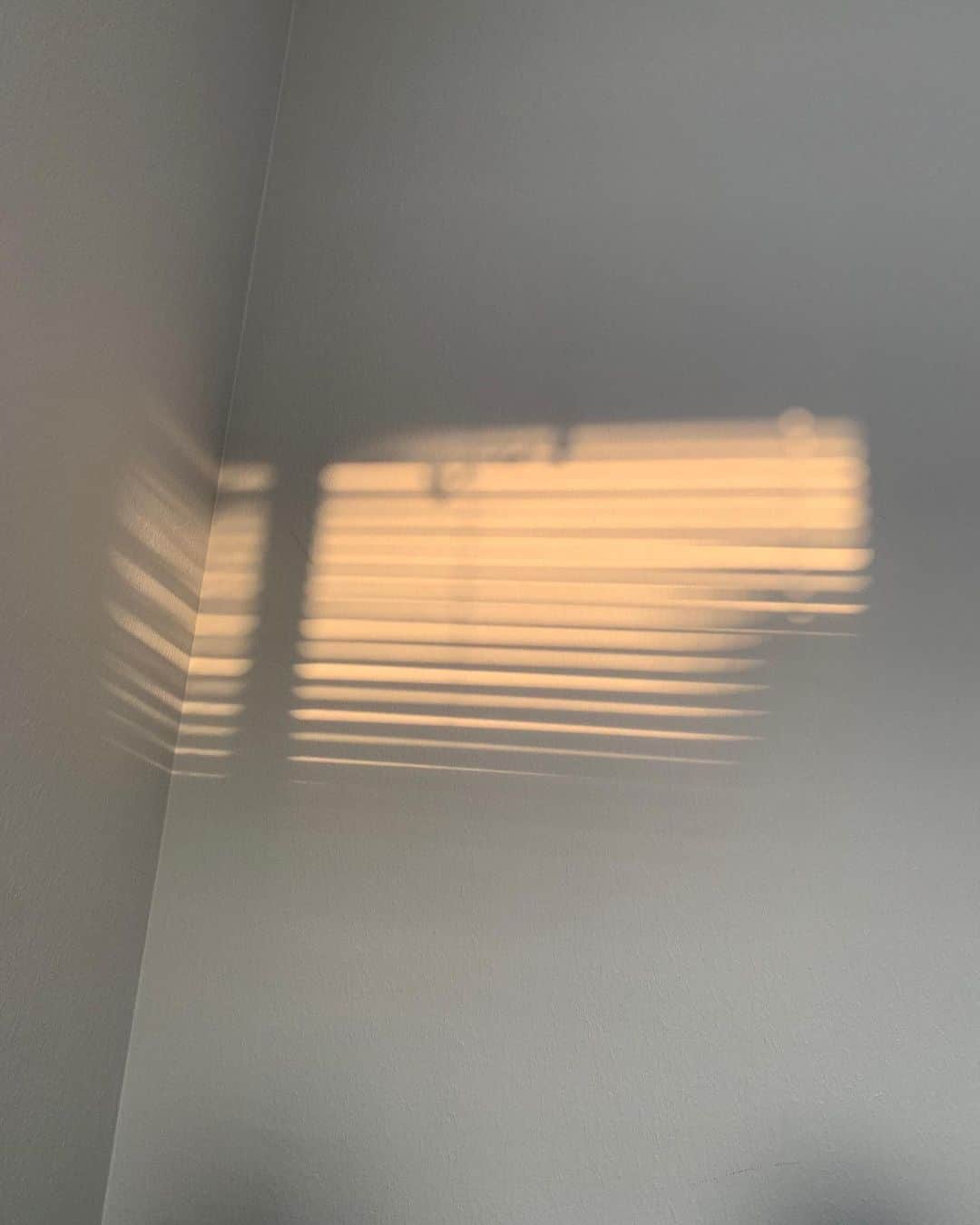 源藤アンリさんのインスタグラム写真 - (源藤アンリInstagram)「朝日🌱」8月15日 22時55分 - anrigento