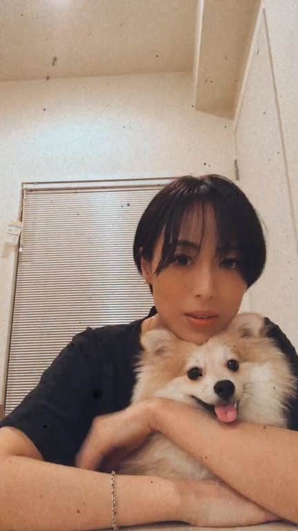 のインスタグラム