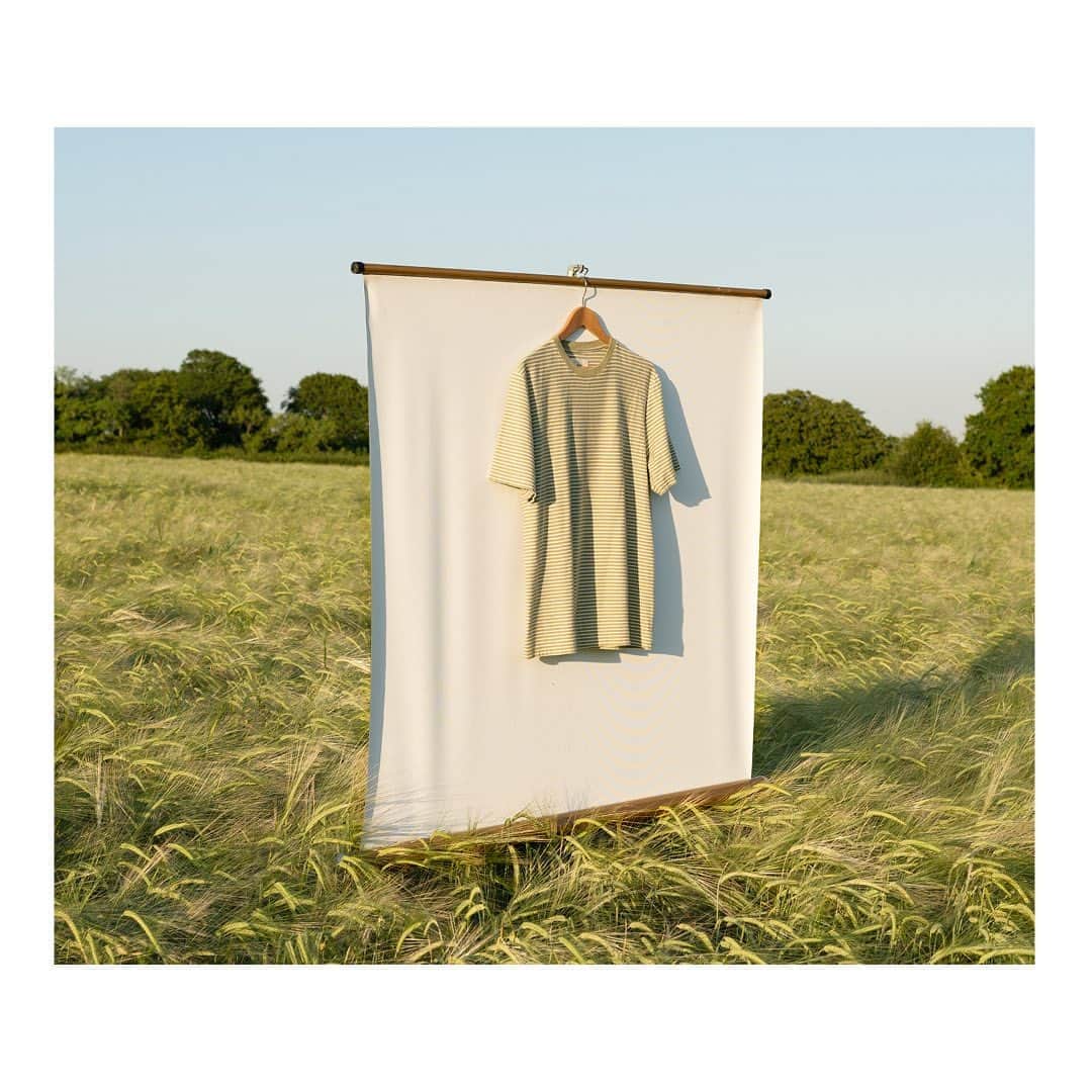 フォークさんのインスタグラム写真 - (フォークInstagram)「A T-shirt dose of freshness from our high summer collection, available now.  #summer #tshirt #green #folk」8月15日 23時16分 - folkclothing
