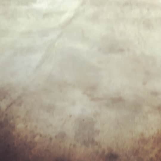 のインスタグラム：「2人でラムネ食べながら、何話してんだろうなぁ…」
