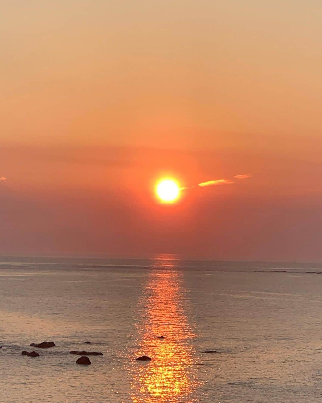 設楽洋さんのインスタグラム写真 - (設楽洋Instagram)「太陽がいっぱい☀️☀️☀️」8月15日 23時29分 - taracyan3