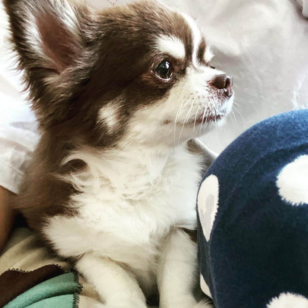 こまけいこのインスタグラム：「送り火って明日じゃないの？って言ったらうちの地元は15日だからと言うので行ってきた。  父を送って23年経つのだが、誰よりも長くいつまでも馬と牛に水をひたひたしている母の姿を見て今更だがほんとにすごいなと思った。 23年経っても何も変わらない。 父のおかげで今も苦労なく生きてこれてる感謝もあるのだろうけど、なんて言うか想いというのがすごい。 私はこんなに人を想うことができるだろうかと考えてしまった。  父は若く亡くなってしまったので、いろいろと悔いも残っただろうと思うが忘れないでこんなに想われていることは幸せだろう。」