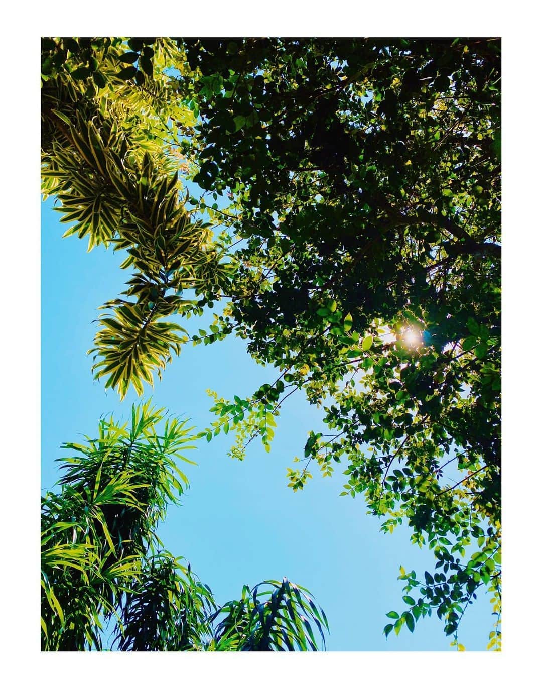 のインスタグラム：「Points of View」