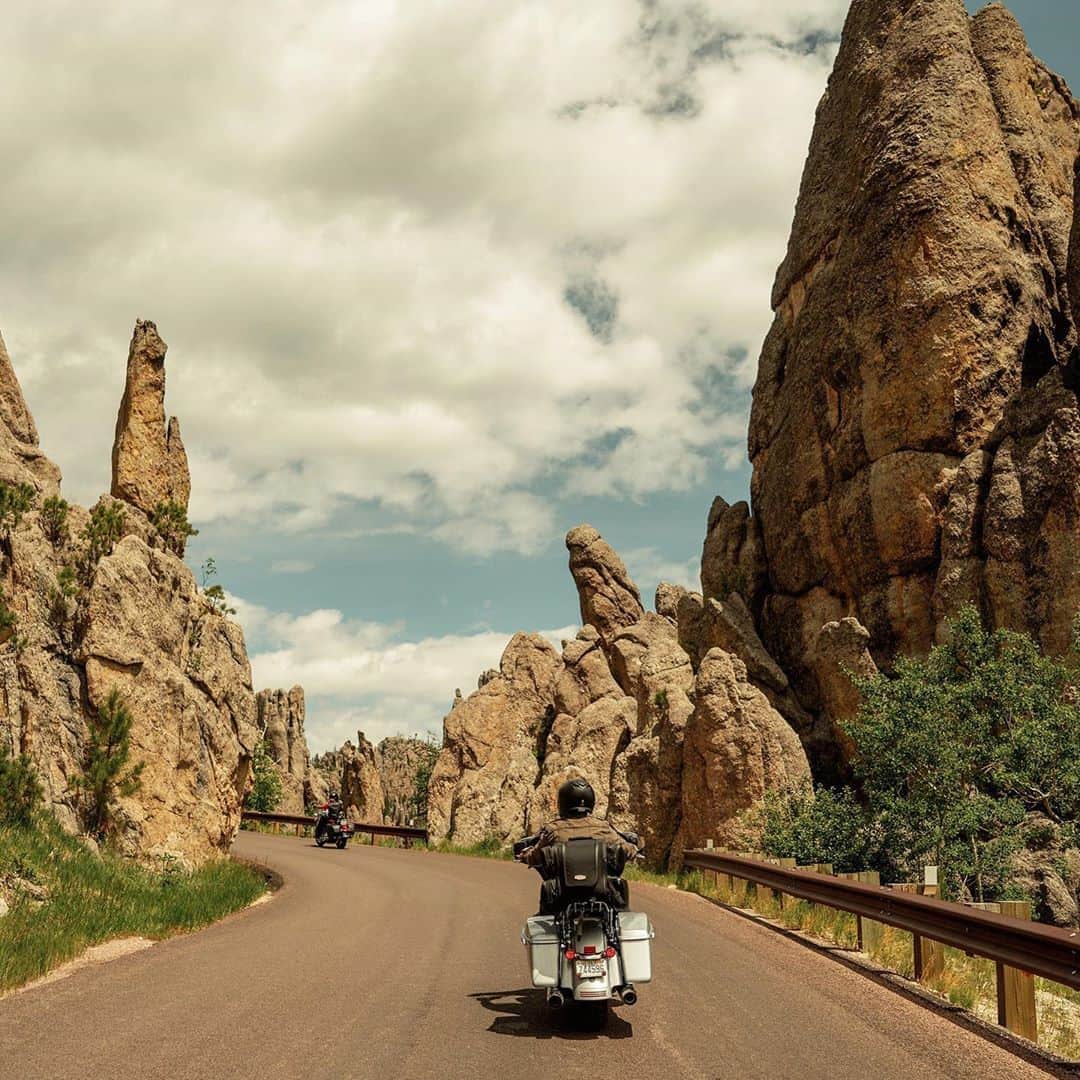 Harley-Davidsonさんのインスタグラム写真 - (Harley-DavidsonInstagram)「Cruising through Needles Highway.  Hit the link in our bio to discover epic routes and to learn more about the #LetsRide Challenge.」8月16日 1時34分 - harleydavidson