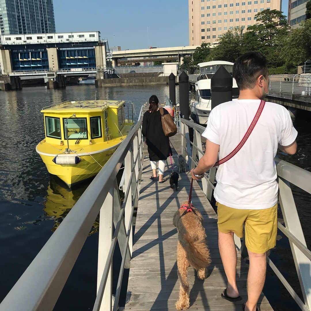TOKYO WATER TAXIさんのインスタグラム写真 - (TOKYO WATER TAXIInstagram)「ワンチャン3頭と一緒にご乗船いただいたお客様。  航行ルートは特別アレンジ&盛り沢山^ ^🎶 マグロ丼のボートピックアップ、 江戸の佃煮小松屋さん 二つのポイントを2hで巡る小さな舟旅でした。  #ペット可  #大型犬のいる生活  #天王洲ピア #twtjimotto #マイクロツーリズム #jimottoキャンペーン #ボートピックアップ #マグロ卸のマグロ丼 #豊海埠頭  #佃煮 #柳橋 #東京 #都内観光 #tokyowatertaxi」8月16日 1時43分 - tokyowatertaxi