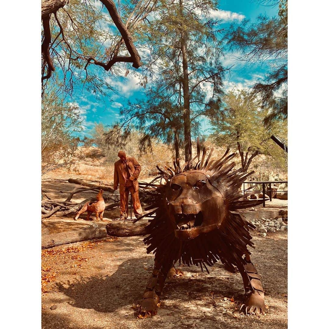 キャメロン・モナガンさんのインスタグラム写真 - (キャメロン・モナガンInstagram)「Simba.」8月16日 12時25分 - cameronmonaghan