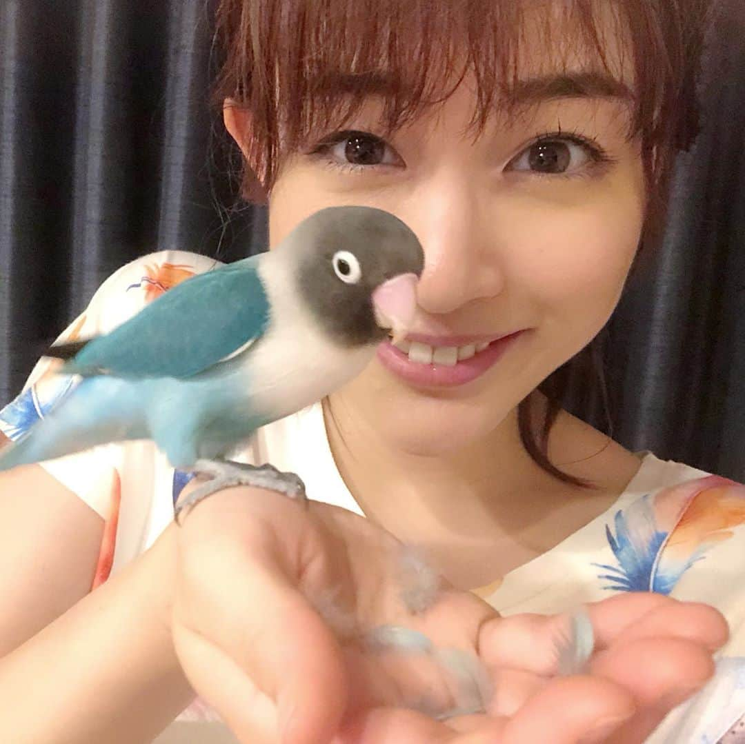 新井恵理那のインスタグラム