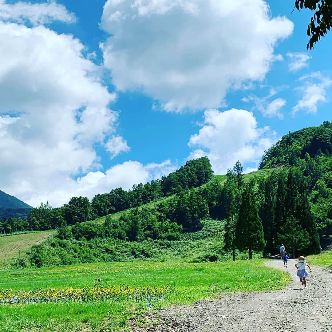都竹悦子さんのインスタグラム写真 - (都竹悦子Instagram)「夏休み最終日。 朴の木平スキー場へ、ひまわり畑を見に来ました。  例年斜面全体に黄色い花を咲かせるひまわりは、今年育成不良とのことで、今年だけ無料開放。  小さなひまわり達でしたが、 雲の影が山に落ちるという美しい自然の景色に飛騨の夏を感じました！  清々しい！！  #飛騨の夏　#ほうのき平スキー場　#ほとんど人がいない　#BGMがなぜか大音量の日本歌謡曲」8月16日 12時48分 - etsukotsuzuku