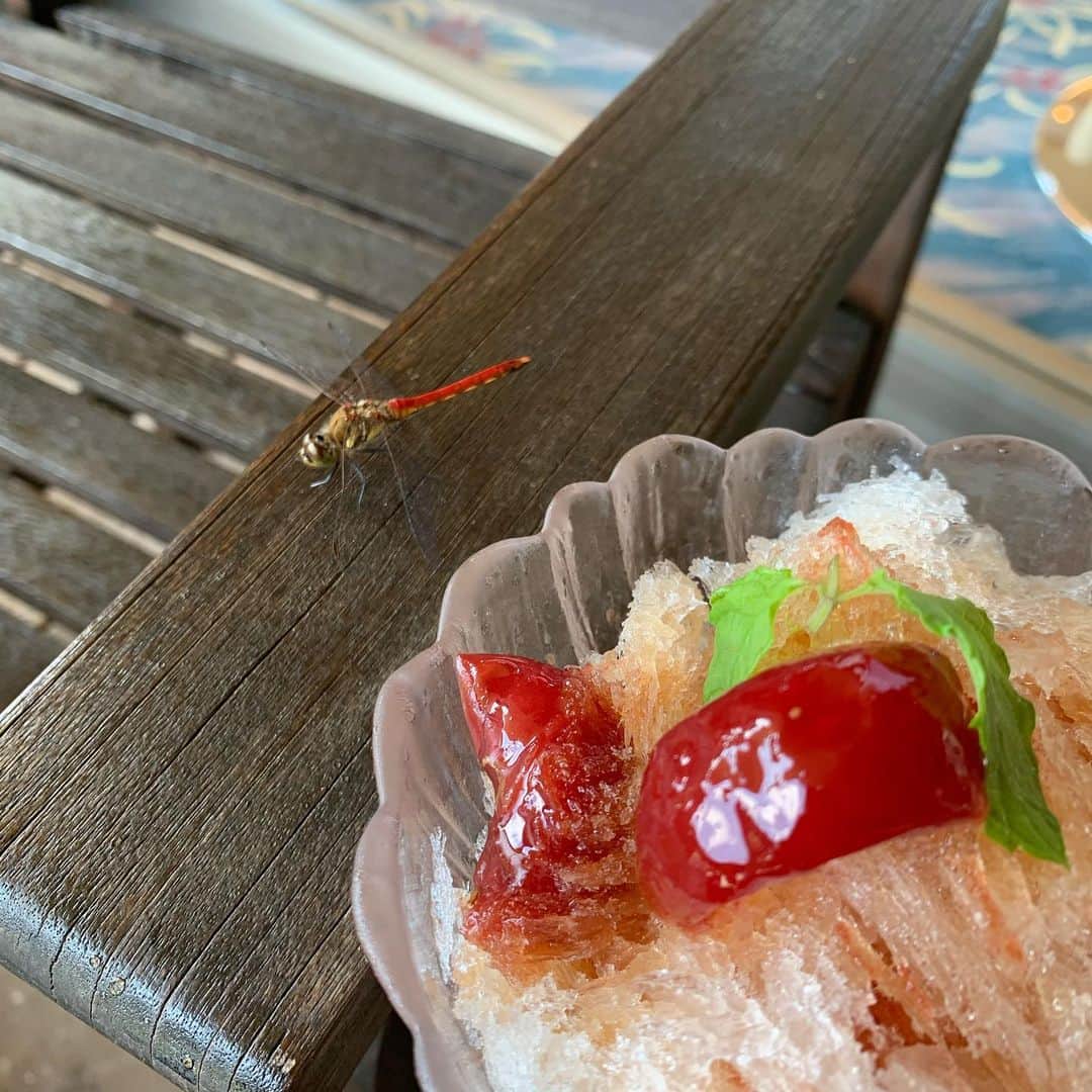 ノブ横地のグルメインスタ