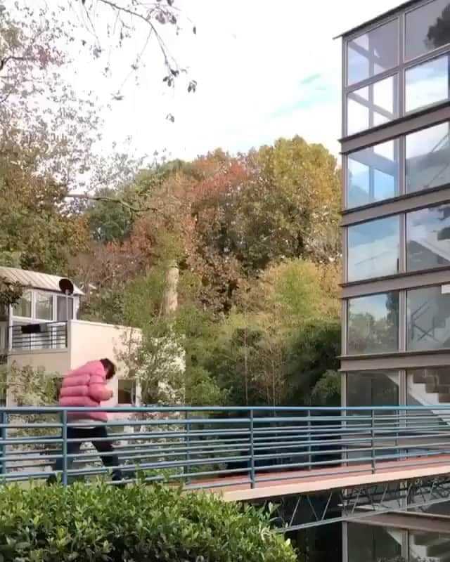 viceのインスタグラム