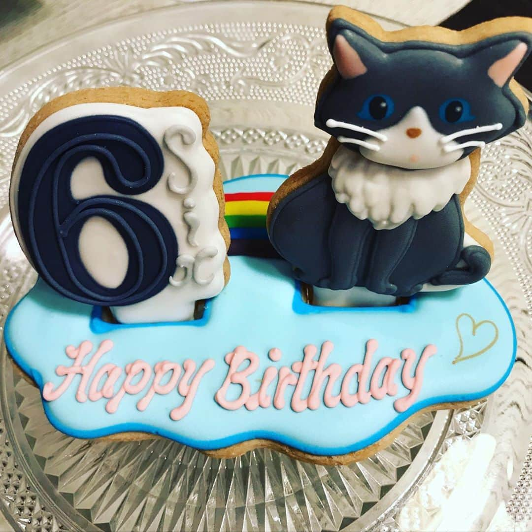 前野えまさんのインスタグラム写真 - (前野えまInstagram)「昨日は大切な家族の誕生日でした🎂 ・ ・６歳🐈🐈🐈🐈🐈🐈‼️ ・ #お誕生日 #パーティ #6歳 #デコレーション #クッキー #ベリーデコ #アイシングクッキー #ケーキ #ピエールエルメ #家族でお祝い #猫ちゃん #ねこすたぐらむ #にゃんすたぐらむ   #happybirthday #cat #catstagram #catsofinstagram #catlover #berrydeco #cookies #decoration #cookiedecorating #cake #pierreherme #cakestagram  #followme #tflers #tagsforlikesapp #daily_phot_jpn #japan_daytime_view」8月16日 7時00分 - maeno_ema