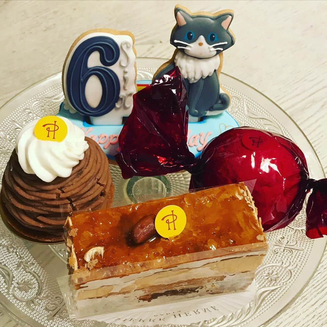 前野えまさんのインスタグラム写真 - (前野えまInstagram)「昨日は大切な家族の誕生日でした🎂 ・ ・６歳🐈🐈🐈🐈🐈🐈‼️ ・ #お誕生日 #パーティ #6歳 #デコレーション #クッキー #ベリーデコ #アイシングクッキー #ケーキ #ピエールエルメ #家族でお祝い #猫ちゃん #ねこすたぐらむ #にゃんすたぐらむ   #happybirthday #cat #catstagram #catsofinstagram #catlover #berrydeco #cookies #decoration #cookiedecorating #cake #pierreherme #cakestagram  #followme #tflers #tagsforlikesapp #daily_phot_jpn #japan_daytime_view」8月16日 7時00分 - maeno_ema