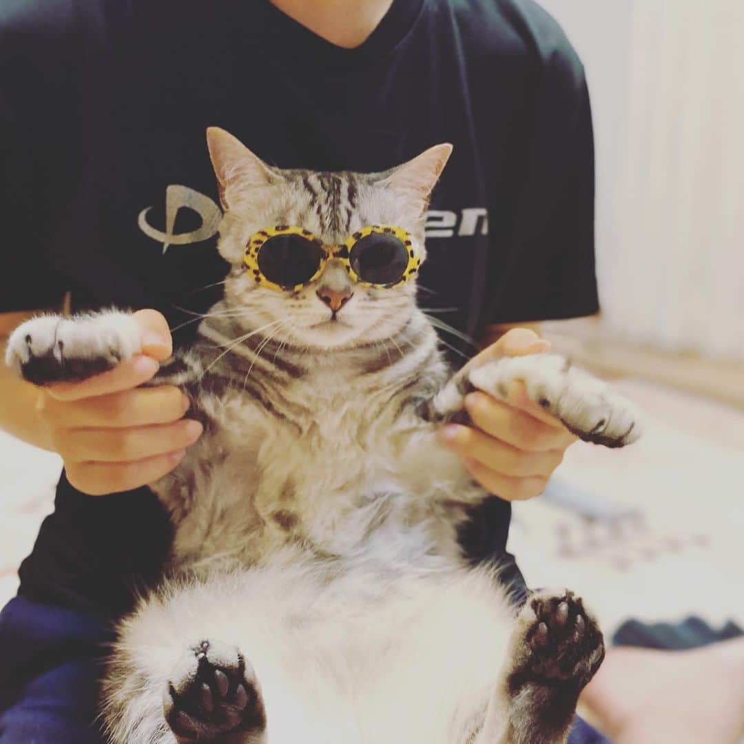 8n21のインスタグラム：「昨晩の里親募集のリポストはトライアルが決まった様なので削除しました。ご覧いただきました皆さまありがとうございました。  #紫外線対策万全のリンさま」
