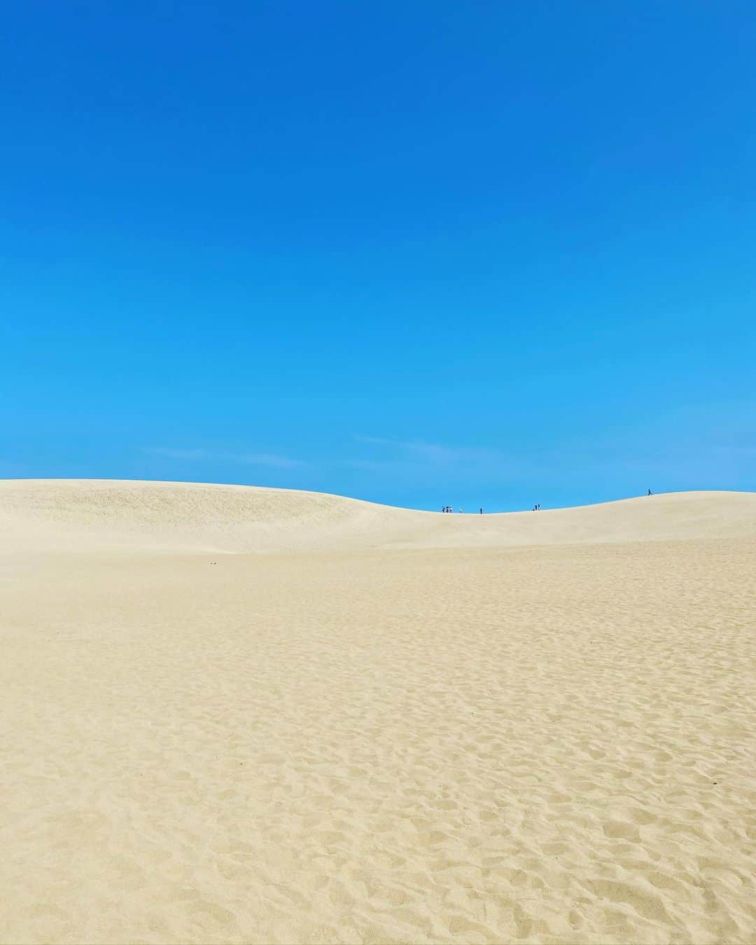大島央照さんのインスタグラム写真 - (大島央照Instagram)「sky & sand ✨  #sky #sand #砂 #空 #ソーシャルディスタンス #美 #nice #photograph #photo #水分補給しましょ #✨」8月16日 13時50分 - chiakioshima