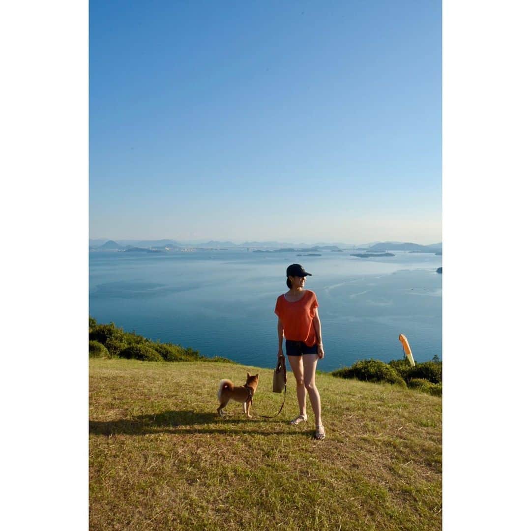 VANRIのインスタグラム：「* はなびも一緒に夏を満喫できた束の間の休息。 自然エネルギーフル充電できました〜 #summer #夏  #豆柴 #柴犬 #日本犬 #しばすたぐらむ」