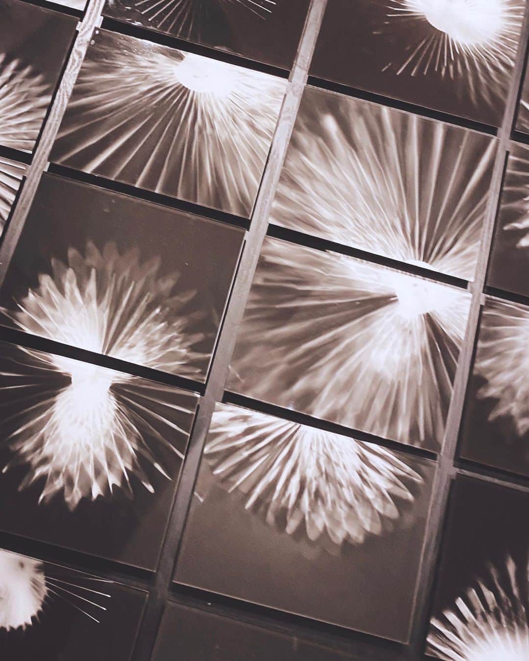 のインスタグラム：「Decoration﻿ ———————————————————————﻿ ﻿ ﻿ ﻿ ﻿ ﻿ ﻿ ﻿ ﻿ ﻿ ﻿ ﻿ ﻿ #decoration #spacedesign #design #fivesenses #eyes #beauty #whiteandblack」