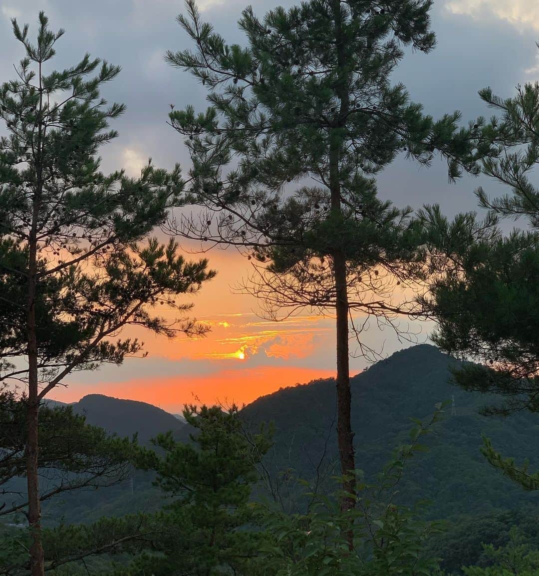 正中雅子さんのインスタグラム写真 - (正中雅子Instagram)「山頂で夕陽を眺めながらBBQが涼しくて最高だった🥰🍖 * BBQは今年かららしく、コロナのことを配慮されたとっても素敵なディナーでした！ * 楽しかった🎐 * #有馬グランドホテル #masacotravel」8月16日 9時49分 - masacoshonaka