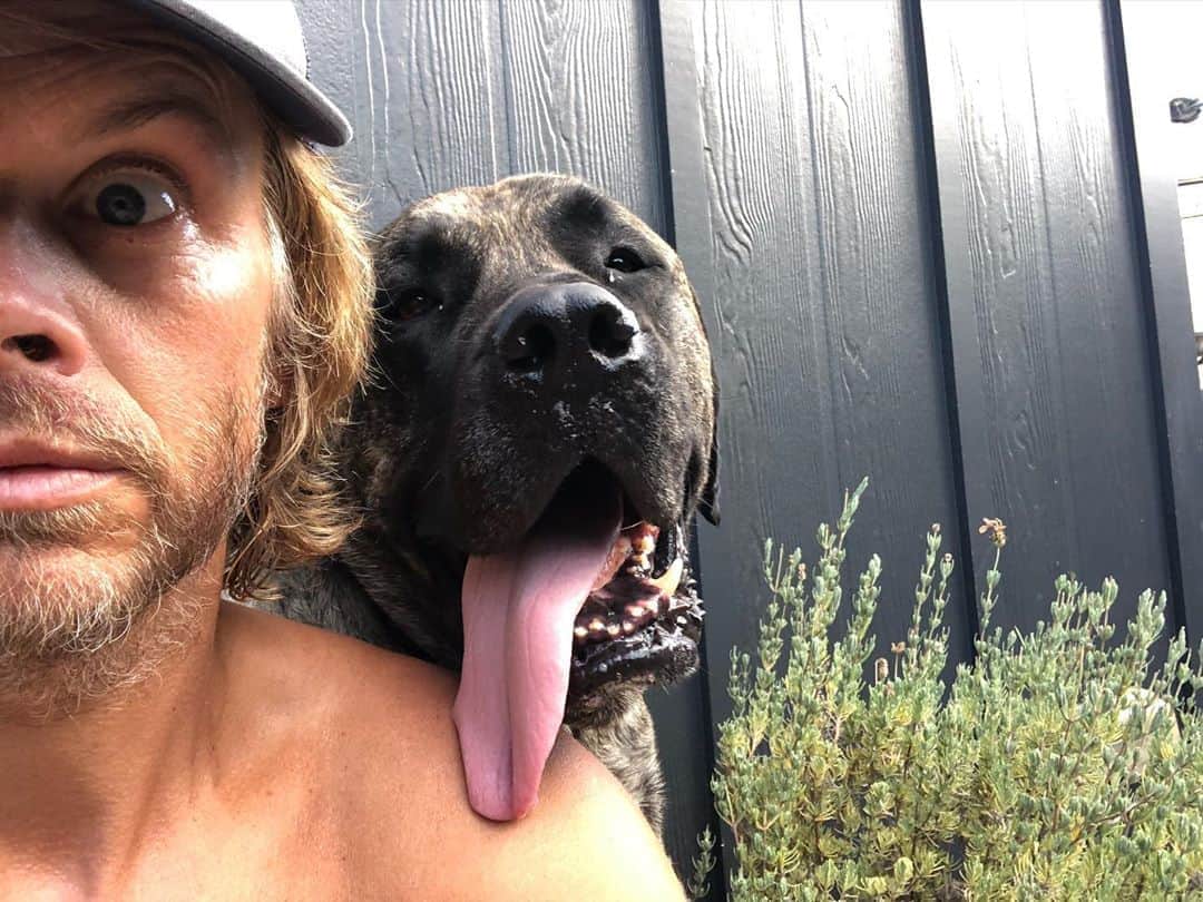 エリック・クリスチャン・オルセンのインスタグラム：「What was that?!? Just tell me the truth. Is there something right behind me!?!? #weshouldgetbiggerdogs」