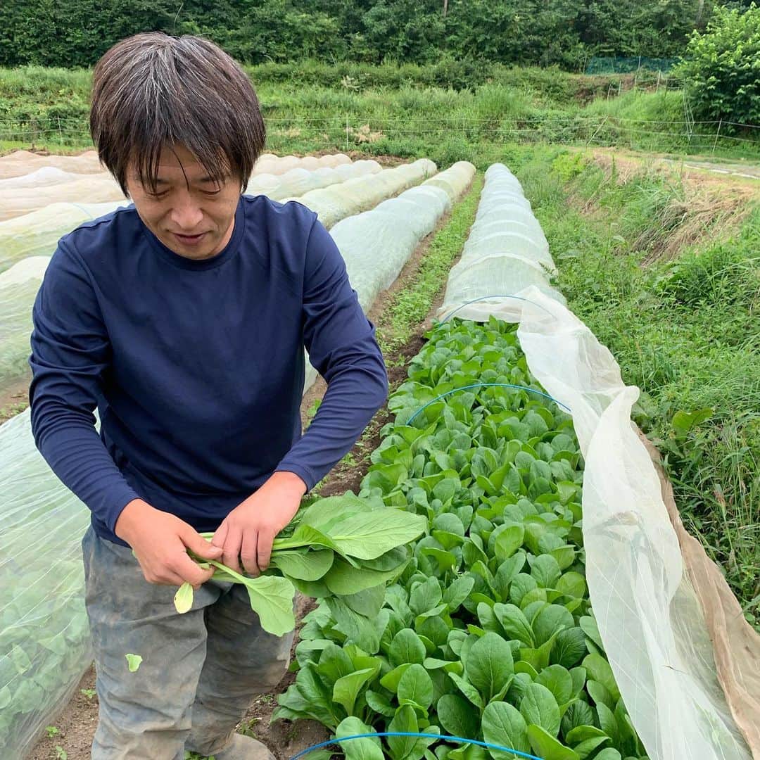 Sunshine Juiceのグルメインスタ