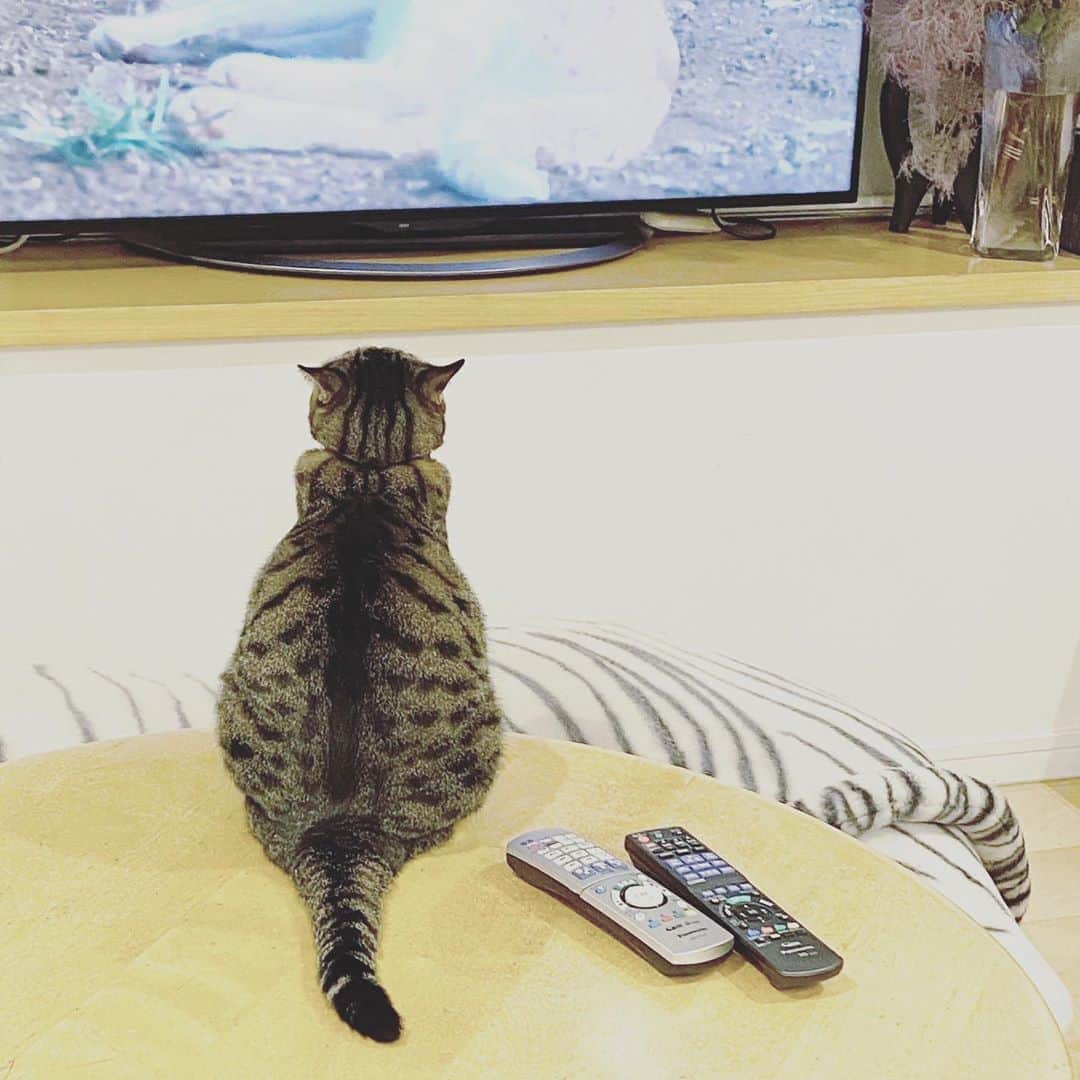 中野明海のインスタグラム