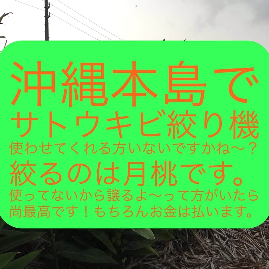 MOOMINのインスタグラム：「沖縄本島で サトウキビ絞り機 使わせてくれる方いないですかね〜？ 絞るのは月桃です。 使ってないから譲るよって方がいたら尚最高です。 もちろんお金は払います。」