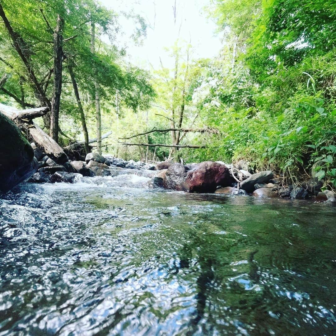 黒木桃子さんのインスタグラム写真 - (黒木桃子Instagram)「いつもの森にて🌳 最近は暑過ぎるので 川沿いや山の上で過ごしています。⛰✨  何も考えずに ただ自然を感じる ピュアな自分に立ち戻る、大切な時間✨  流れ星も３つみれた！🌠  ビーチドレスは @calzedonia  私でもMサイズで大きいくらい長い！ありがたやー🙏💖  #森 #自然 #naturelovers」8月16日 11時36分 - momoko_nagano