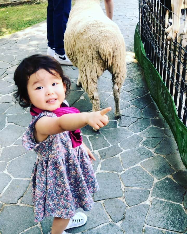 沼田由花のグルメインスタ