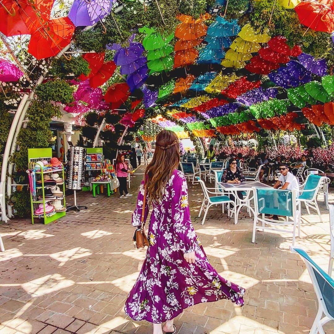 清水彩子さんのインスタグラム写真 - (清水彩子Instagram)「鮮やかな所、大好き💕  早くスタッフ達とまた何処かに行ける様になる日が来る事を信じて前向いて頑張ろっ❣️  #dubai #ドバイ #出かけて無くてドバイ写真しか無いw #奇跡の庭園 #ミラクルガーデン #DubaiMiracleGarden」8月16日 22時57分 - ayakosugar