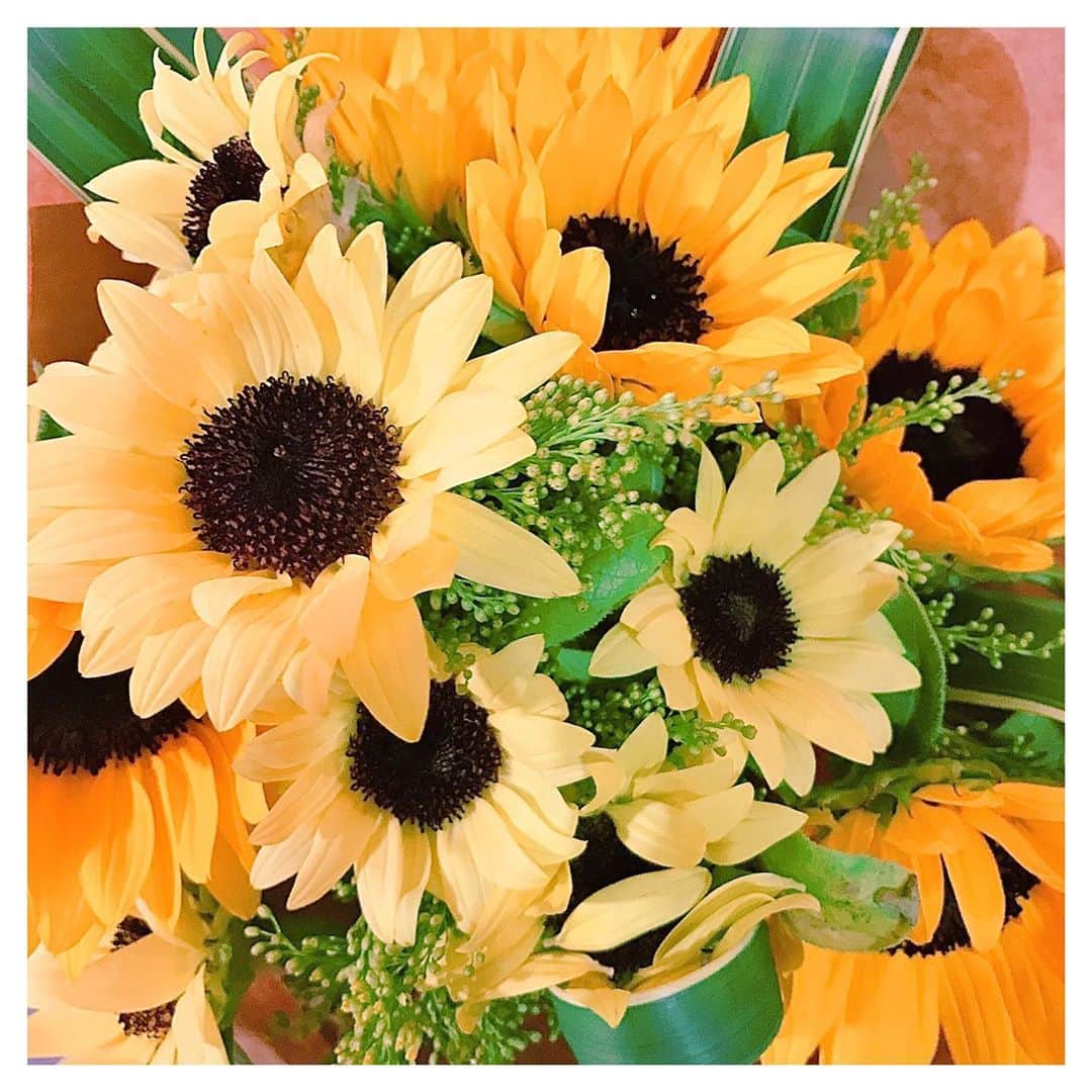 元井美貴さんのインスタグラム写真 - (元井美貴Instagram)「🌻🌱🌻🌱🌻🌱🌻🌱🌻 * #girasol #sunflower #ひまわり」8月16日 22時59分 - mikimotoi