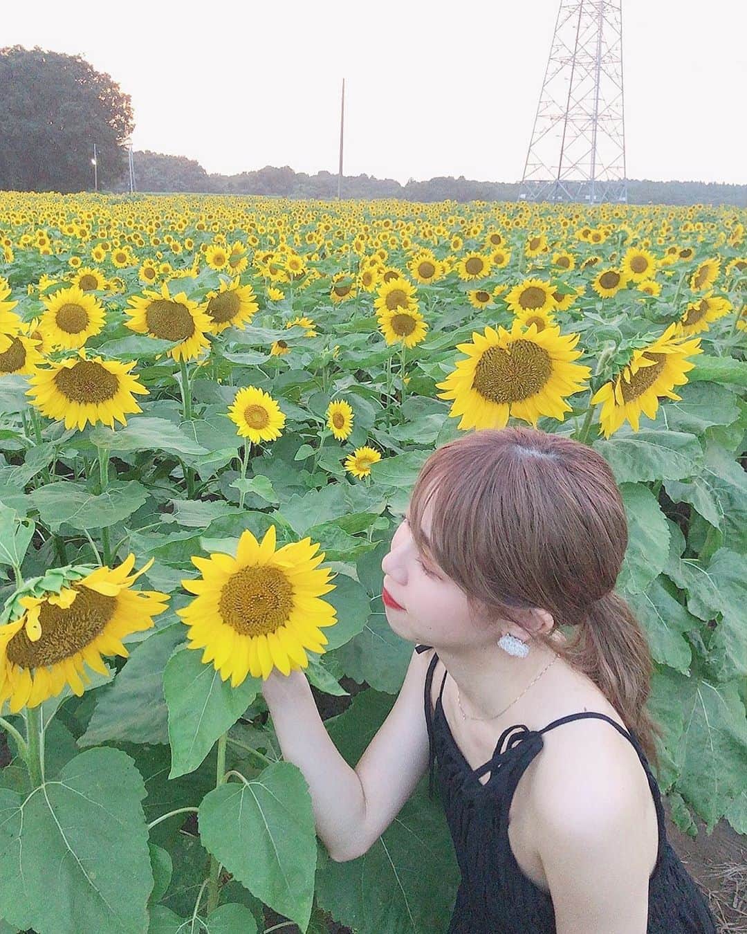 のインスタグラム：「． ひまわり畑🌻 夕方だったけど蒸し暑かった（ ; ; ）  私は普段インドアなのですが、ミスコンに出てから少しアクティブになりました✌︎  今日の投票もよろしくお願いします😌🤍  #ミス学習院 #ミス学習院コンテスト #ミスコン #学習院 #ひまわり畑 #ひまわり」