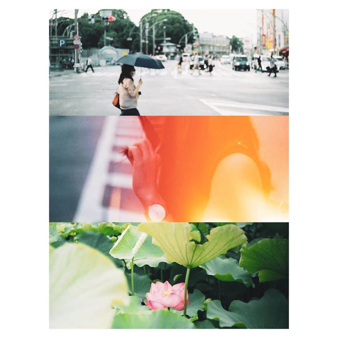 kazhixさんのインスタグラム写真 - (kazhixInstagram)「Daily life of Tokyo . . . . . #pentaxsp . . . #instagram  #igersjp #hueart_life #indies_gram #ファインダー越しの私の世界 #東京カメラ部 #lovers_nippon_artistic #insidephotos #classicsmagazine #kodak #pentax  #jj_forum_3072」8月16日 22時29分 - kazhix