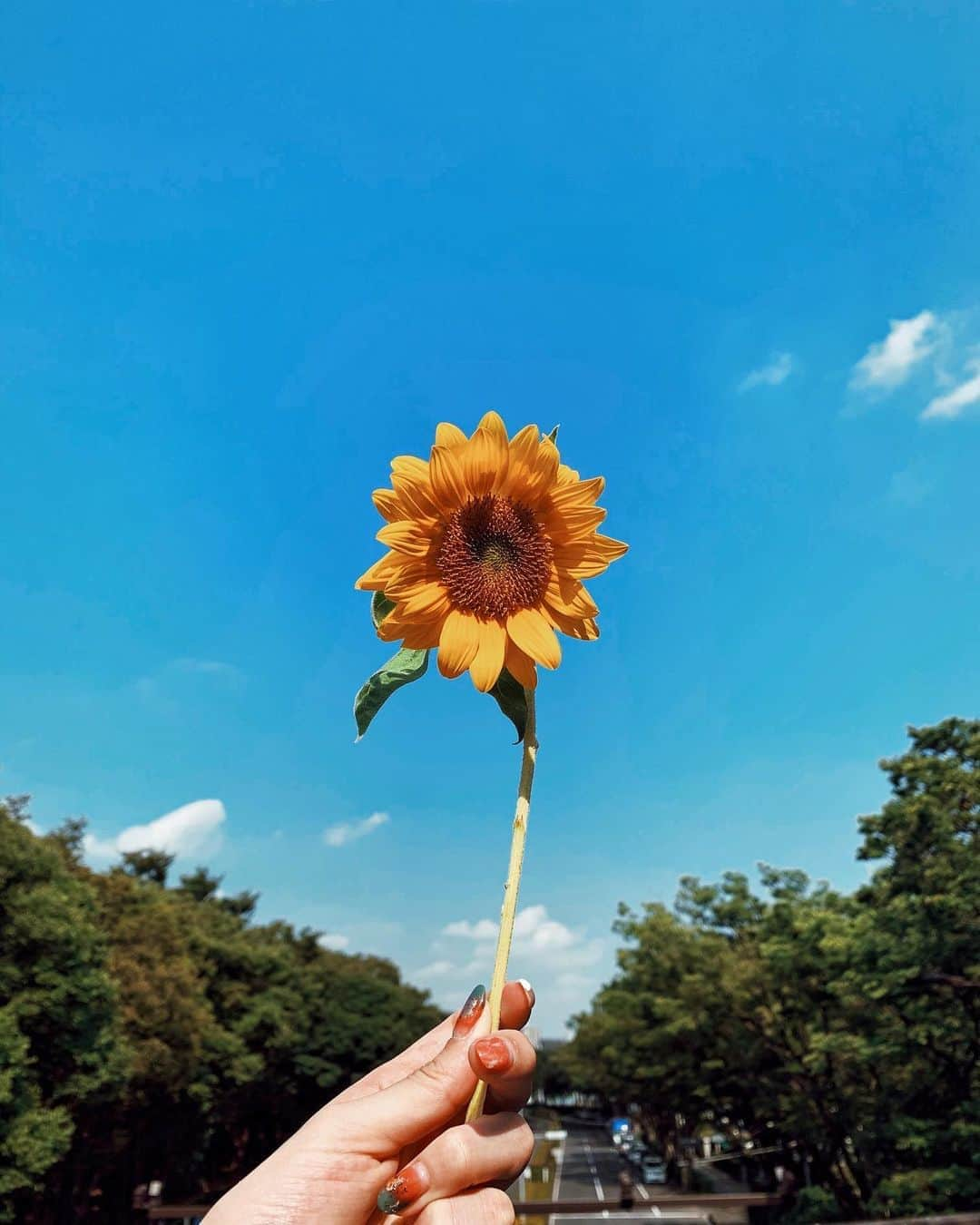 瀬口かなさんのインスタグラム写真 - (瀬口かなInstagram)「青と夏だ〜🌻 夏らしいことしたい🍉 なんだろうね〜、BBQもしたいなぁ✨」8月16日 22時50分 - seguchikana