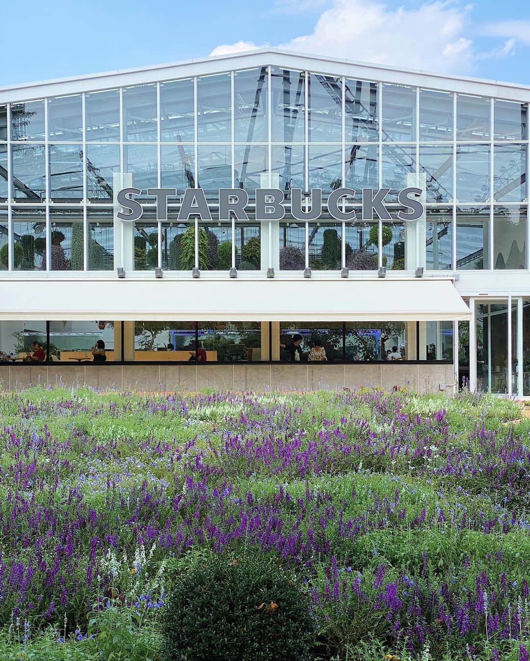 齊藤澪菜のグルメインスタ