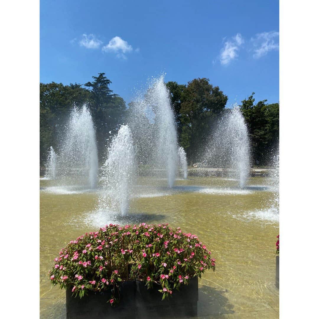 堀友理子さんのインスタグラム写真 - (堀友理子Instagram)「暑過ぎるけど、癒し😌💛 サングラス🕶にマスクに帽子に日傘という、もはや友達とすれ違っても誰かわかってもらえないだろう姿。。  #上野公園不忍池  #上野公園噴水広場」8月16日 14時12分 - horiyurisanpo