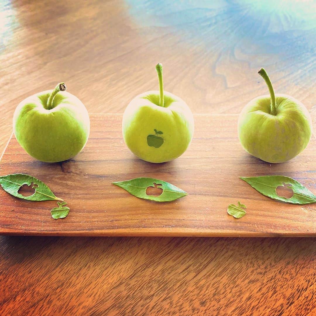 祥吉のグルメインスタ