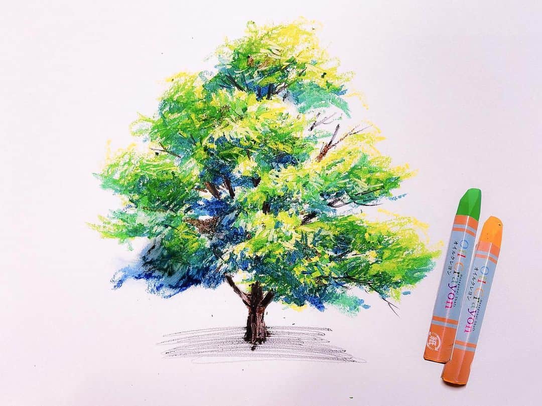 柴崎春通さんのインスタグラム写真 - (柴崎春通Instagram)「How to draw a tree / Oil pastel / JAPANESE DOLLAR STORE CRAYONS   How to draw a tree with 100-yen crayons. Please watch it until the end at YouTube!😊  今回は100円ショップのクレヨンでリアルな樹木を描く方法をご紹介します。YouTubeで観てくださいね😊  YouTube : Watercolor by Shibasaki  https://youtu.be/cy89WHFKSyQ  #shiba_watercolor #tree #oilpastel #dollarstore #crayon #art #youtube #youtuber #クレヨン #木 #夏休み」8月16日 16時01分 - shiba_watercolor