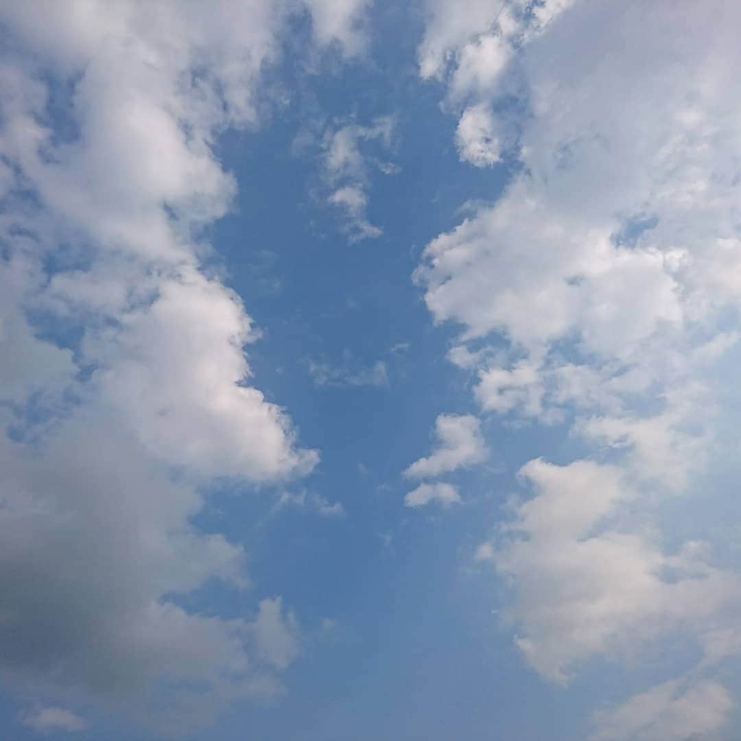くぼてんきさんのインスタグラム写真 - (くぼてんきInstagram)「天竜40.9℃  #天竜で今年全国で1番の暑さ #日本歴代5位タイ記録 #浜松も今年初めての40℃超え #浜松のけさの最低気温31.1℃」8月16日 16時13分 - kubotenki