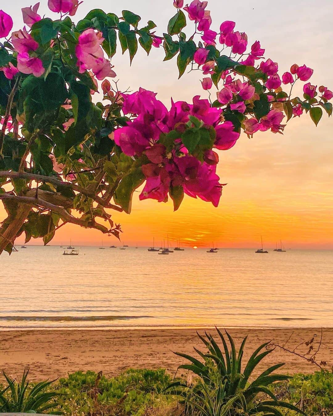 Australiaさんのインスタグラム写真 - (AustraliaInstagram)「For sensational sunsets, @tourismtopend always delivers! 🌅 @savvy_social snapped this perfectly framed shot whilst enjoying an evening stroll along the #Darwin foreshore. The waterfront certainly is the place to be in the @ntaustralia's vibrant tropical capital; it's lined with restaurants, shops, sandy lagoons and parklands, and is home to the famous @mindilmarket. #seeaustralia #NTAustralia #tourismtopend」8月16日 17時00分 - australia