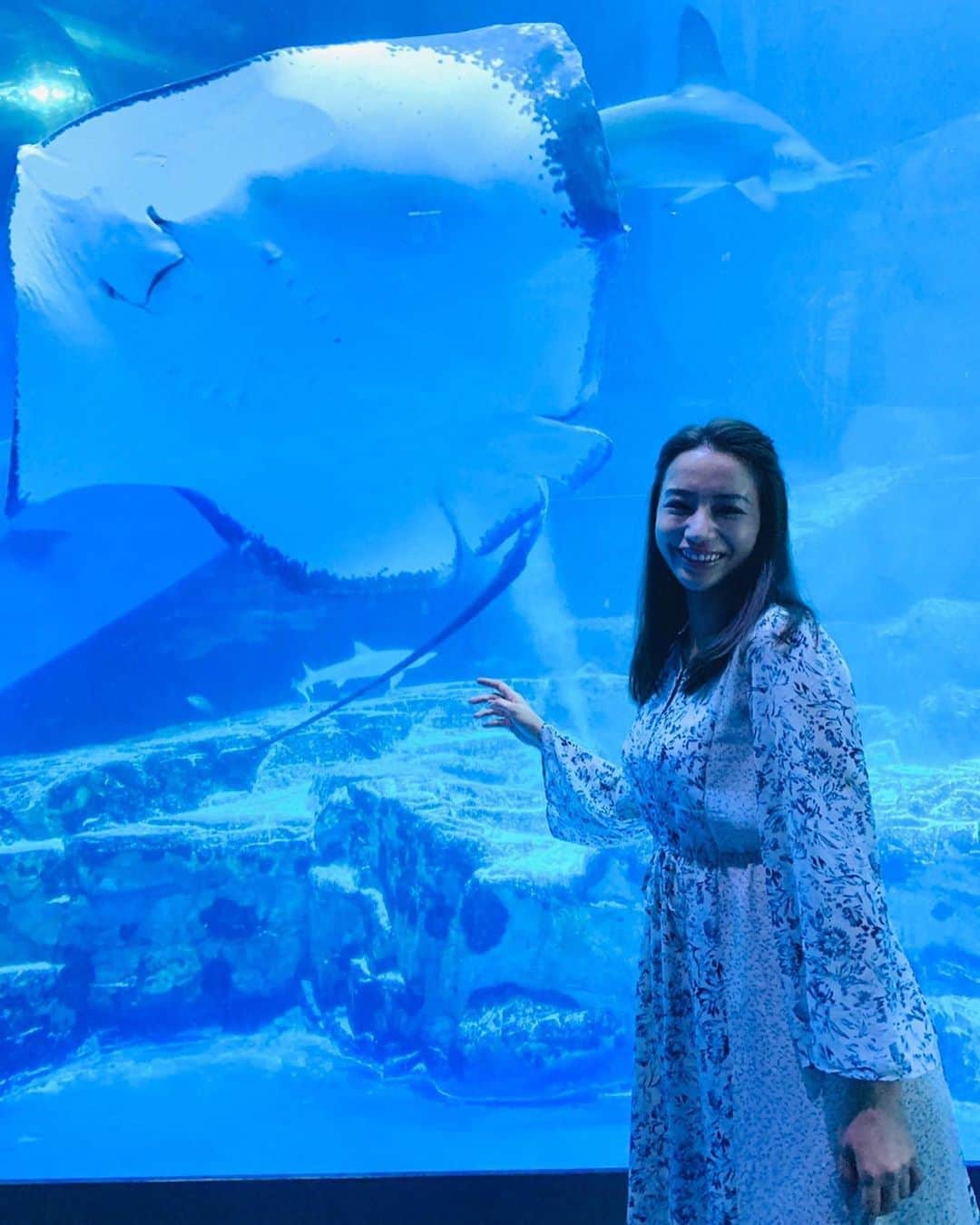 【公式】私の家政夫ナギサさんのインスタグラム：「田所さんと水族館デート中の薫さん👼美しい… 6話のメイちゃんと薫さんの固い絆に、 素敵な親友だなあと思った方も多いのでは🥰  #わたナギダイジェストご覧いただけましたか~~？ #6話はTVerとParaviでも配信中なので #一緒に観ましょう！！もう一度！ #7話に向けて復習です◎ #もう次回は7話なんですね…！ #早く観たいような寂しいような😢 #ついに田所さんが動く！？ #メイちゃんの可愛いゴルフウェアも必見です♡ #7話放送まで #あと2日！！ #Twitterでは #肥後先生からメッセージ届いてます🙆 #ぜひチェックを😏  #わたナギ #私の家政夫ナギサさん #多部未華子 #大森南朋 #瀬戸康史 #高橋メアリージュン #tbs #火曜ドラマ #7話 #8月18日  #火曜よる10時」