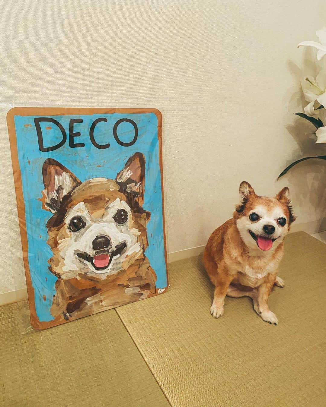 イアリサのインスタグラム：「@benlenovitz  がデコちゃんぬを描いてくれた🐶 . 自分の絵も嬉しいけど やっぱりデコってなると もっと嬉しい♡ . 犬氏以外も猫ちゃんぬも鳥さんぬもお願いできるよ！ 頼み方はサイトからオーダーできるよ！ . #benlenovitz #座らせるのに一苦労」