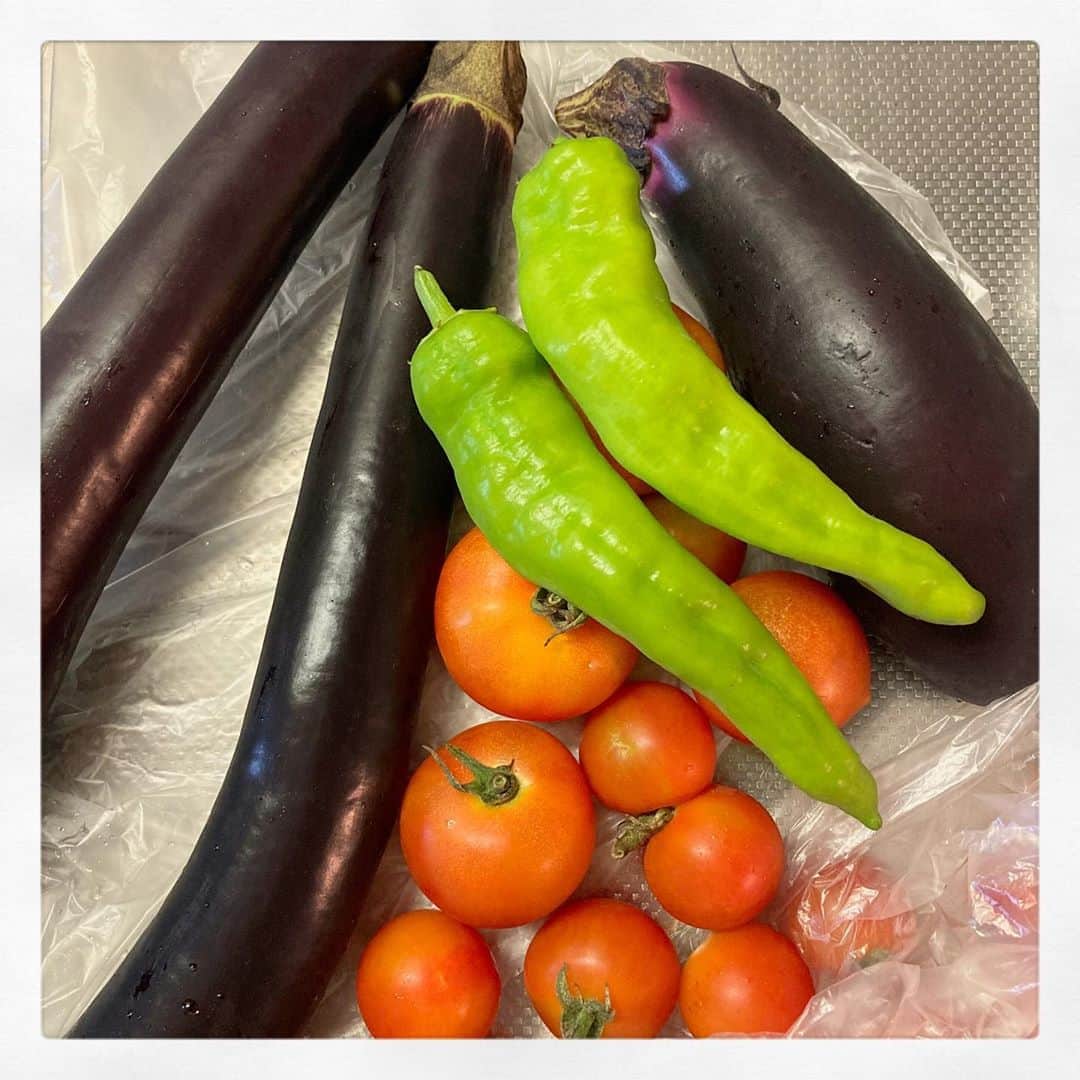 櫛引彩香のインスタグラム：「友達から今年も野菜もらった！！嬉しい。1枚目はその野菜の写真で、2枚目は野菜を使ったごはん。①ナスとトマトと大葉のマリネ②甘長とちくわのマヨ炒め③シャケ&梅干し④ナスととろろ昆布の味噌汁⑤つがるロマンと納豆。おしゃれは野菜から。暑い🥵 #ビキコのごはん #自炊」
