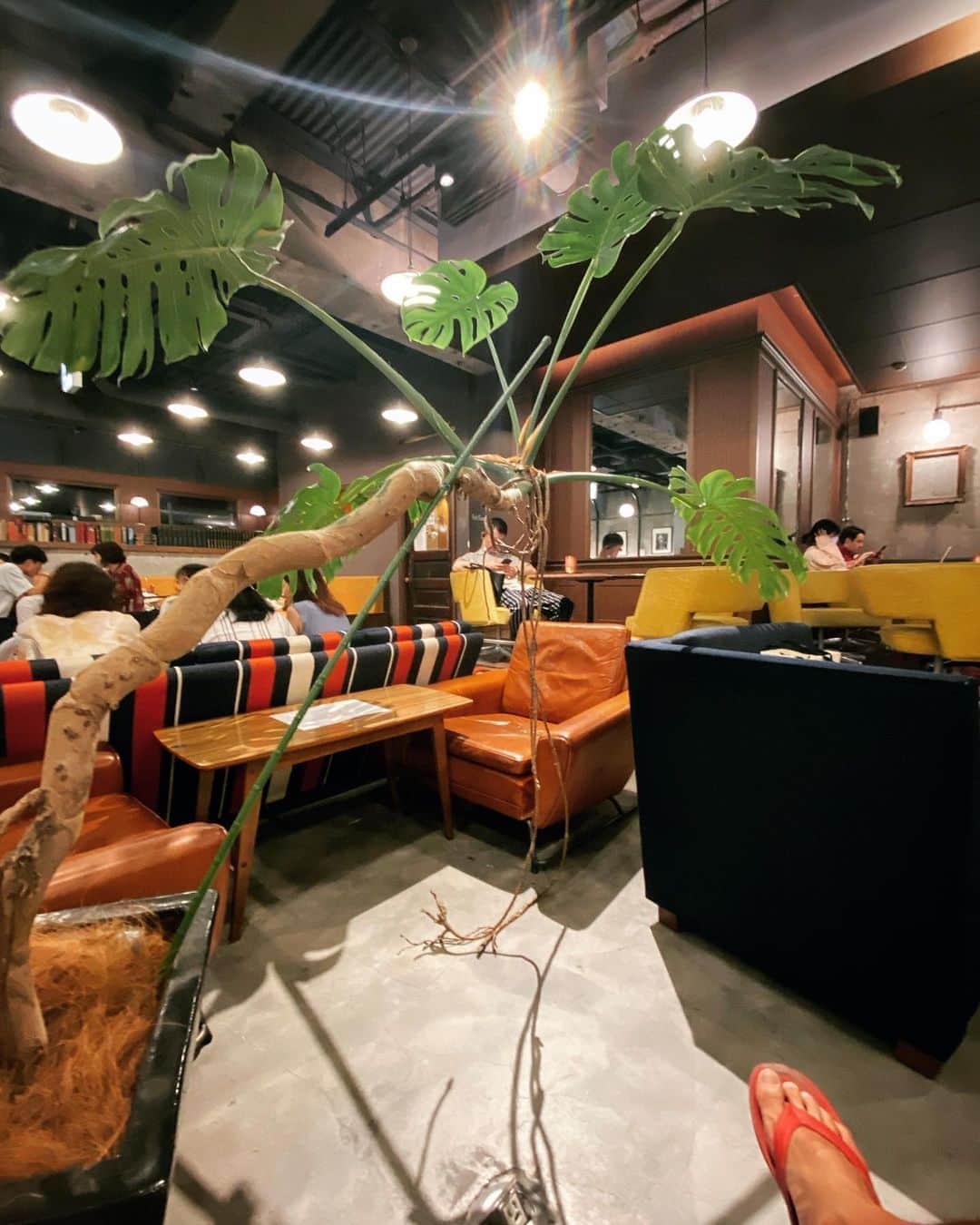 宍戸開のグルメインスタ