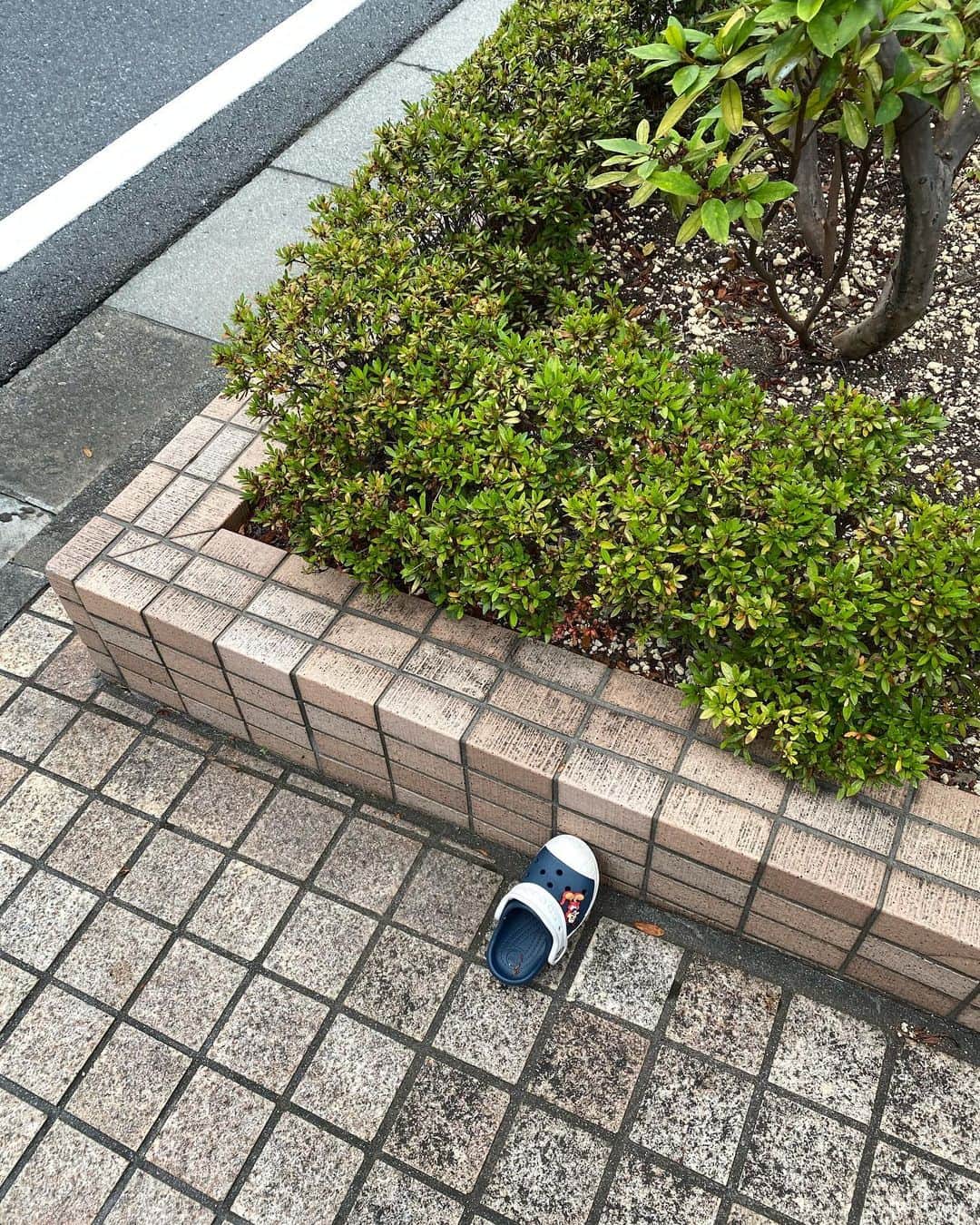 森田繁のインスタグラム：「落ちたのか落としたのか、はたまた捨てたか子供靴ひとつ。」