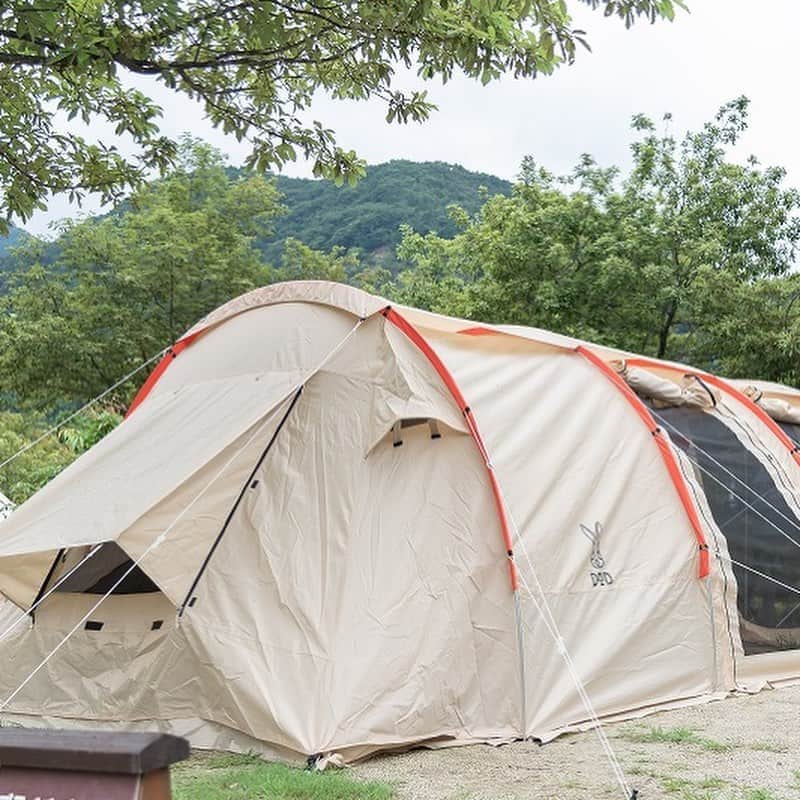 キャンプ情報サイト［ランタン］さんのインスタグラム写真 - (キャンプ情報サイト［ランタン］Instagram)「CAMP SMILE STYLE ／ 30年一緒に過ごした 思い出深いコールマンのランタン  ＼ いろんなキャンパーのキャンプスタイルを現地取材と一般キャンパーからの投稿で数多く掲載してます。 . . 詳しくは @lantern.camp webサイトをご覧ください . . #camp #camping #outdoor #travel #trip #lantern_smile #nature #キャンプ #キャンプ用品 #キャンプギア #アウトドア #テント #自然 #旅行 #キャンプ初心者  #キャンプ好きな人と繋がりたい #camper #外遊び #青川峡キャンピングパーク #ファミリーキャンプ #LANTERN #ファミキャン #テントレイアウト #キャンプレイアウト #コールマン #キャンプギア #coleman #ランタン #コールマンランタン  #ヴィンテージランタン #かまぼこテント」8月16日 17時58分 - lantern.camp
